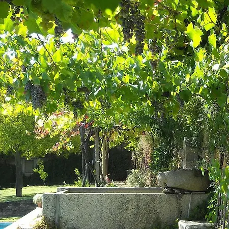 Alojamento de Turismo Rural Quinta Das Aranhas Castelo de Paiva