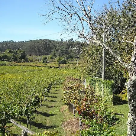 Quinta Das Aranhas Alojamento de Turismo Rural Castelo de Paiva