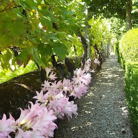 Quinta Das Aranhas Alojamento de Turismo Rural