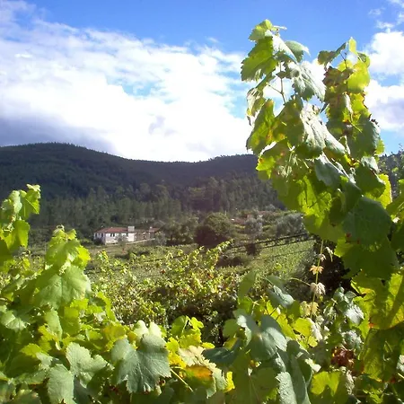 Alojamento de Turismo Rural Quinta Das Aranhas